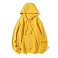  Hong Kong Production Limited 香港製品有限公司AG350H - AG 350g 摇粒絨成人有帽套頭衞衣Hoodies