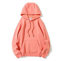  Hong Kong Production Limited 香港製品有限公司AG350H - AG 350g 摇粒絨成人有帽套頭衞衣Hoodies